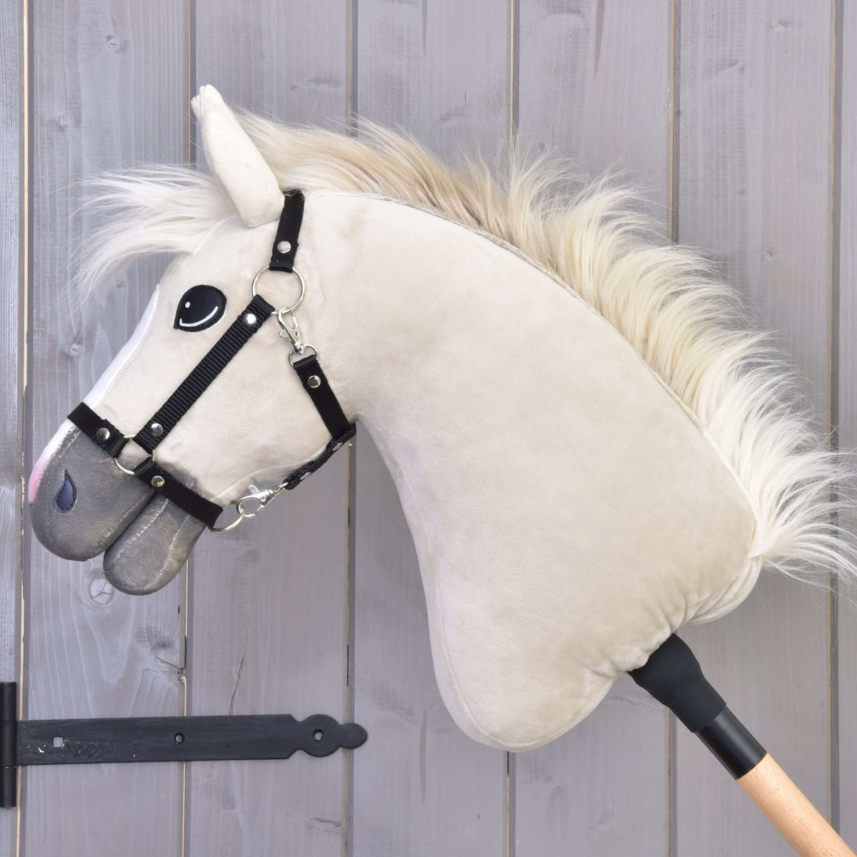 Hobby Horse Pixie van links in profiel met zijdezachte crèmekleurige bontmanen, zwarte halster en glanzend grijze neus