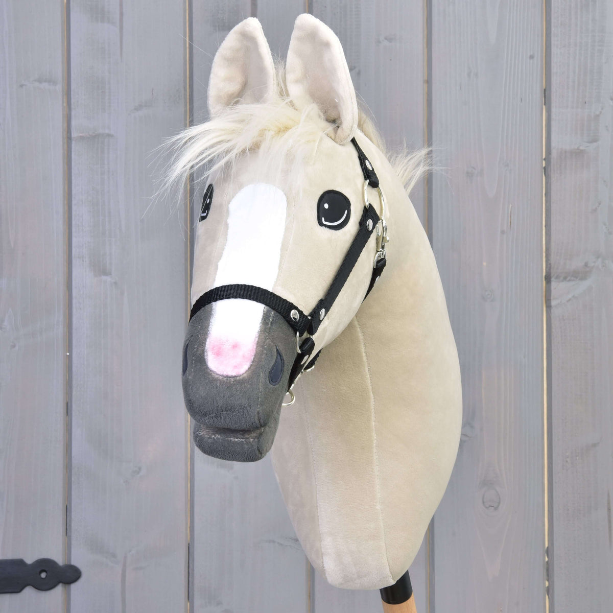 Vooraanzicht van Hobby Horse Pixie met witte bles die overgaat in roze, grijze neus en zwarte halster