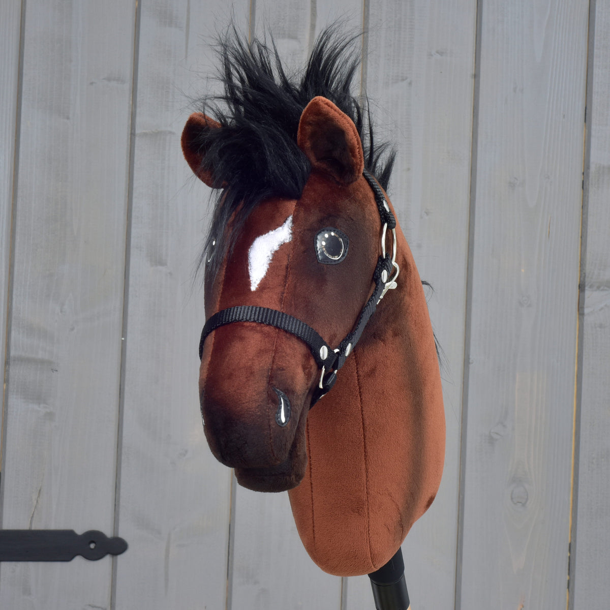Hobby Horse Roger de face avec liste blanche, yeux gris argent, toupet noir et licol noir devant un mur gris