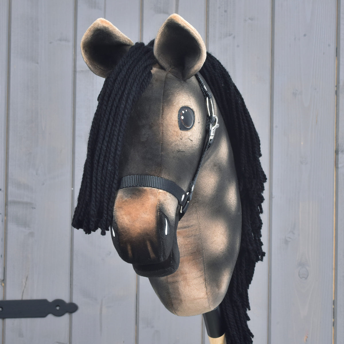 Hobby Horse Stormy avec licol noir de face, toupet en fil noir, bout du nez fauve et oreilles brunes bordées de clair