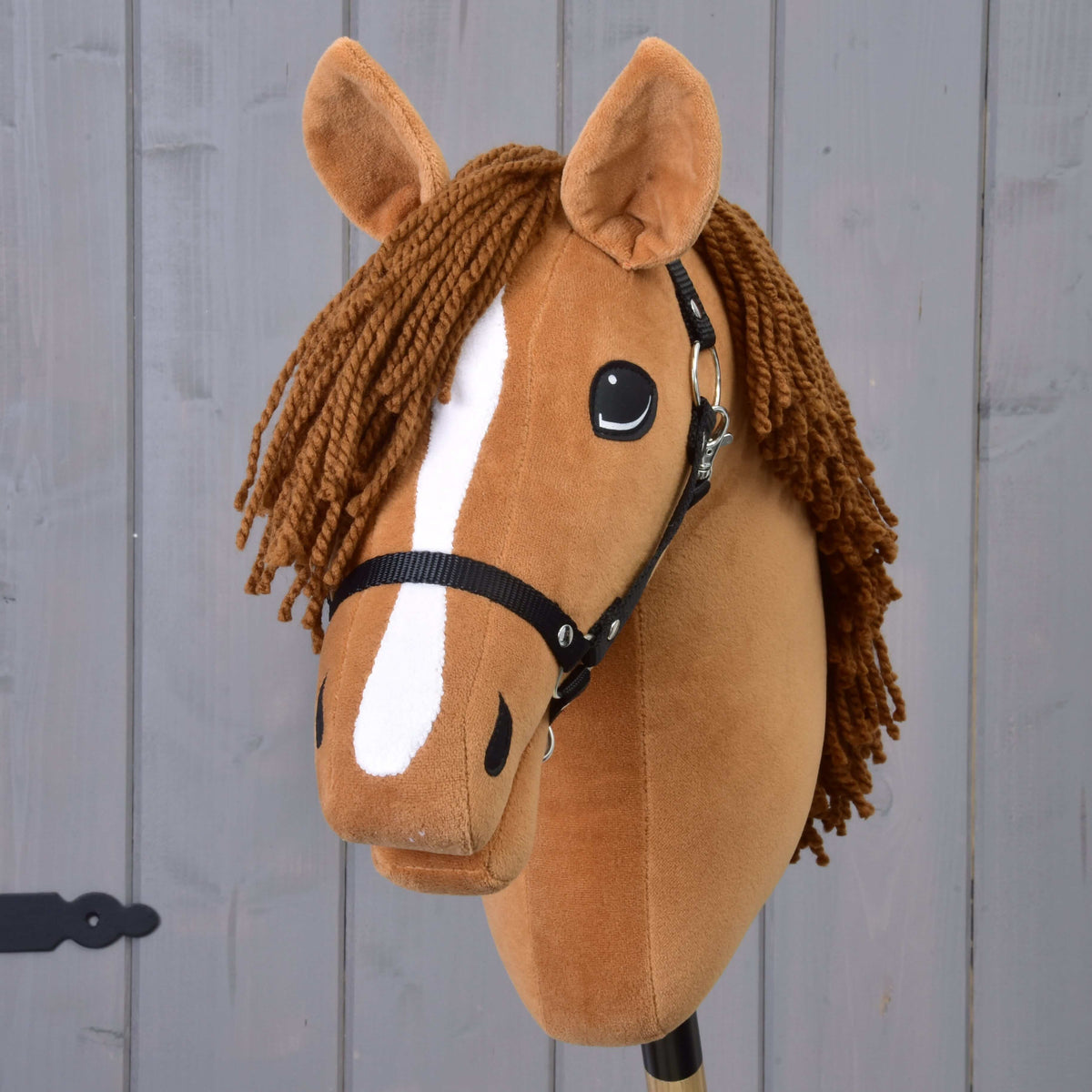 Hobby Horse Wendy vu de face, avec liste blanche sur le chanfrein, licol noir et toupet en fil marron