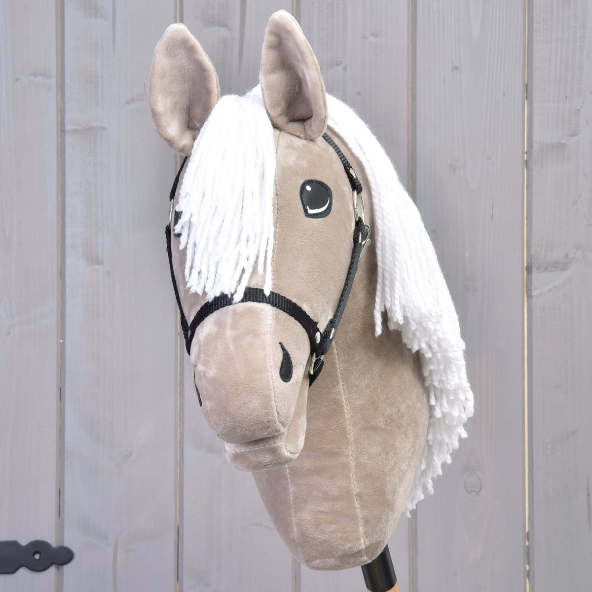Hobby Horse Blondie avec licol noir vu de face, toupet en fil blanc entre les oreilles en peluche beige