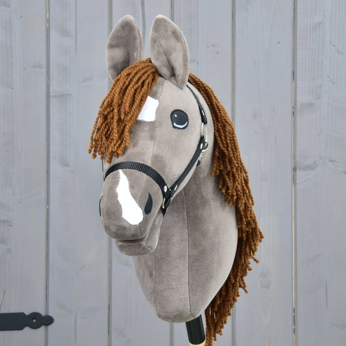 Vue de face du Hobby Horse Chanell avec étoile et liste blanches, toupet roux en fil et licol noir