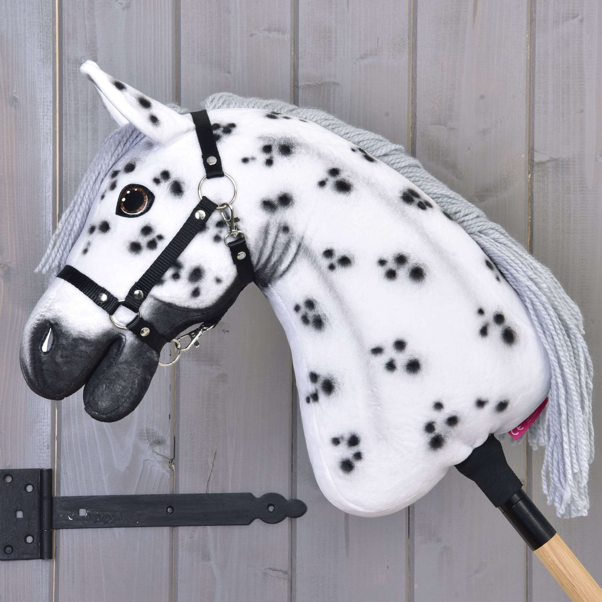 Hobby Horse Chantal de profil gauche, avec ses taches noires le long de l’encolure blanche et son licol noir