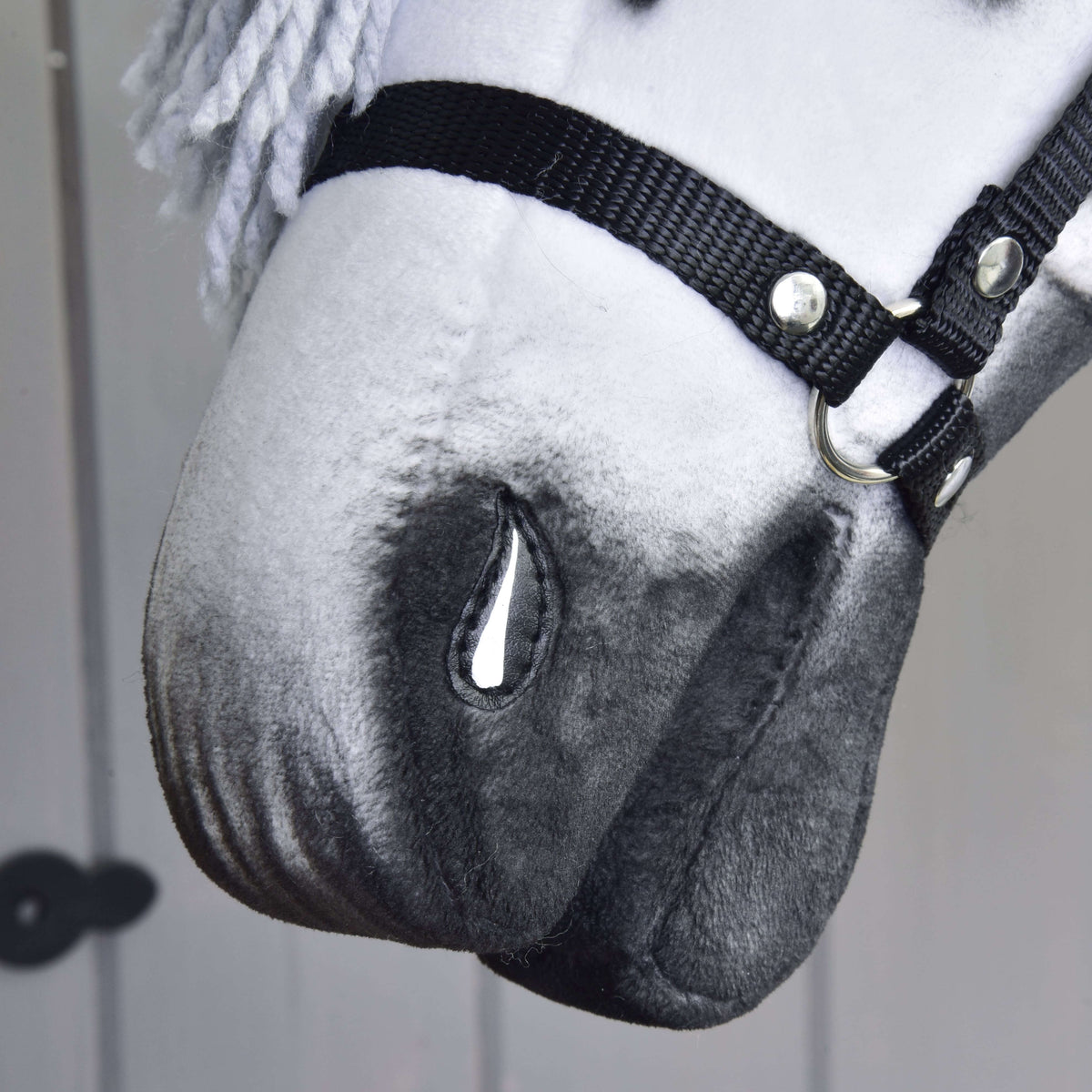 Gros plan sur le bout du nez ombré de gris du Hobby Horse Chantal, avec naseau peint et muserolle du licol noir