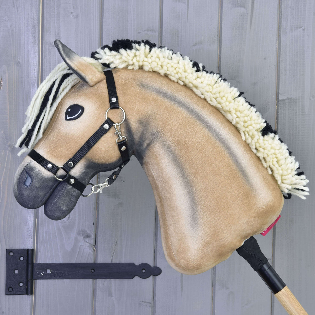 Hobby Horse Colby from the left with a dark dorsal stripe and an upright cream mane edged in black
