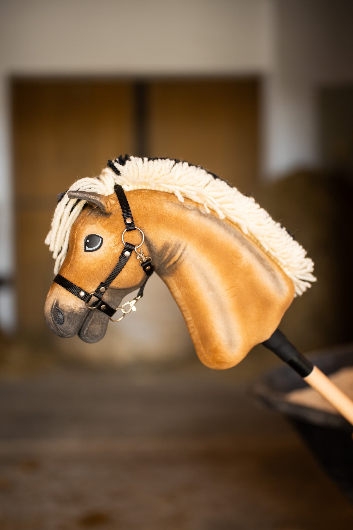 Hobby Horse Colby in a stable with a blurred wooden door behind, black halter with silver rings and a dark shaded muzzle