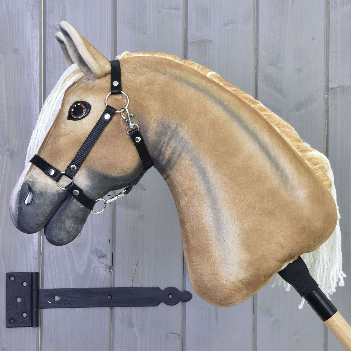 Hobby Horse fauve doré de profil, crinière de l’autre côté, laissant voir l’encolure ombrée et le licol noir en nylon