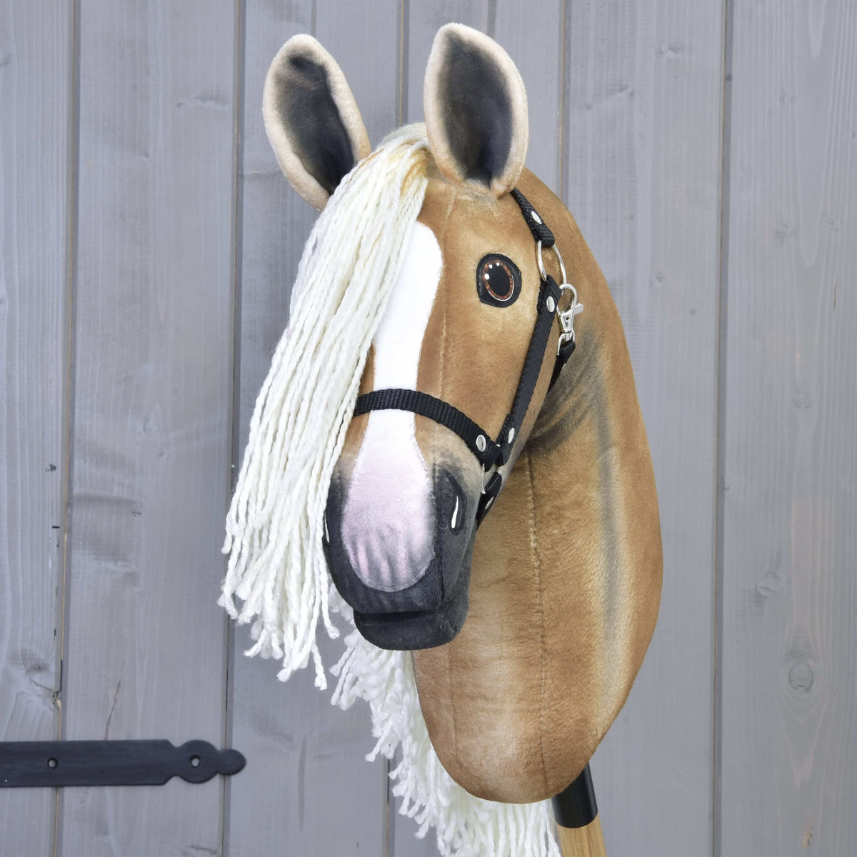Hobby Horse fauve doré vu de face avec liste blanche, bout du nez rose, toupet crème et licol noir