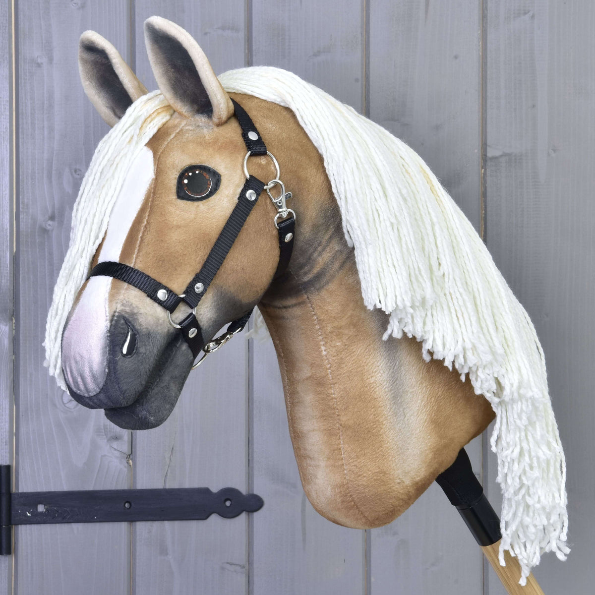 Hobby Horse fauve doré au museau gris ombré, aux yeux bruns brillants et au licol noir, crinière crème sur l’encolure