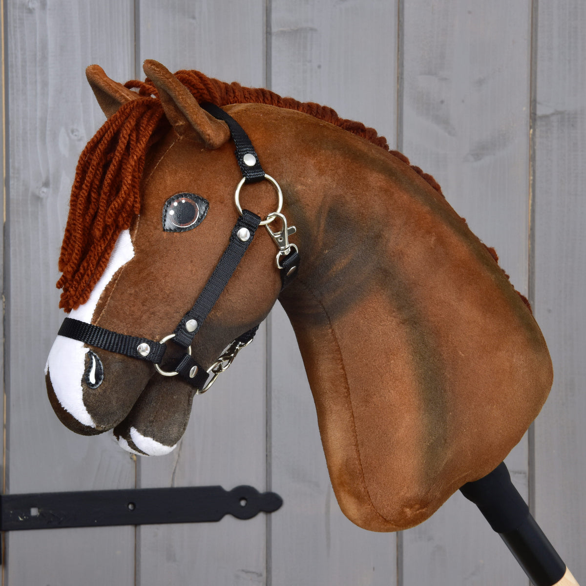 Hobby Horse Cooper avec licol noir vu de gauche, crinière de l’autre côté laissant voir l’encolure brune ombrée