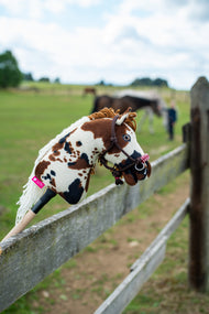 Hobby Horse in bruin-wit bont met touwhalster York op een weidehek, met grazende paarden in de wei erachter