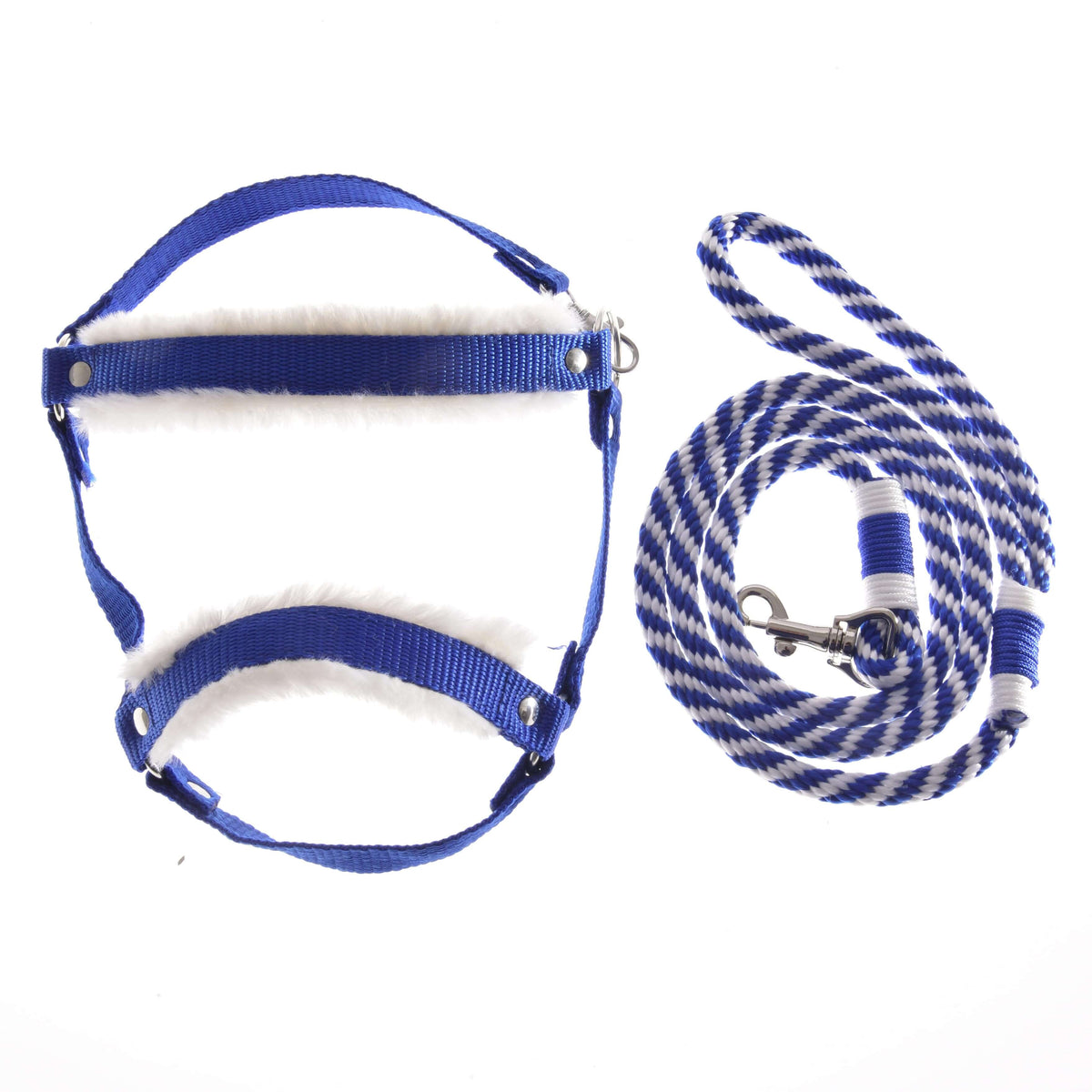 Hobby Horse Set Essential Blue van LarDen: koningsblauw halster met wit bont en gedraaid blauw-wit halstertouw
