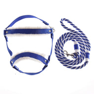 Hobby Horse Set Essential Blue van LarDen: koningsblauw halster met wit bont en gedraaid blauw-wit halstertouw