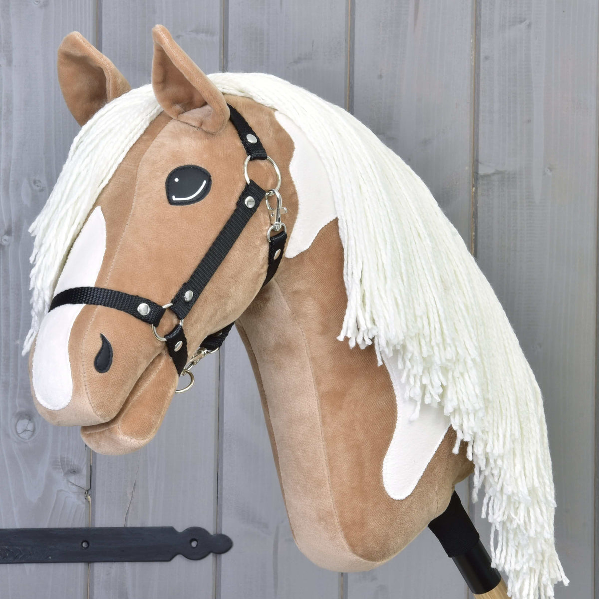 Hobby Horse Fury schuin van voren, met de witte bles tot aan de neus onder de zwarte halster