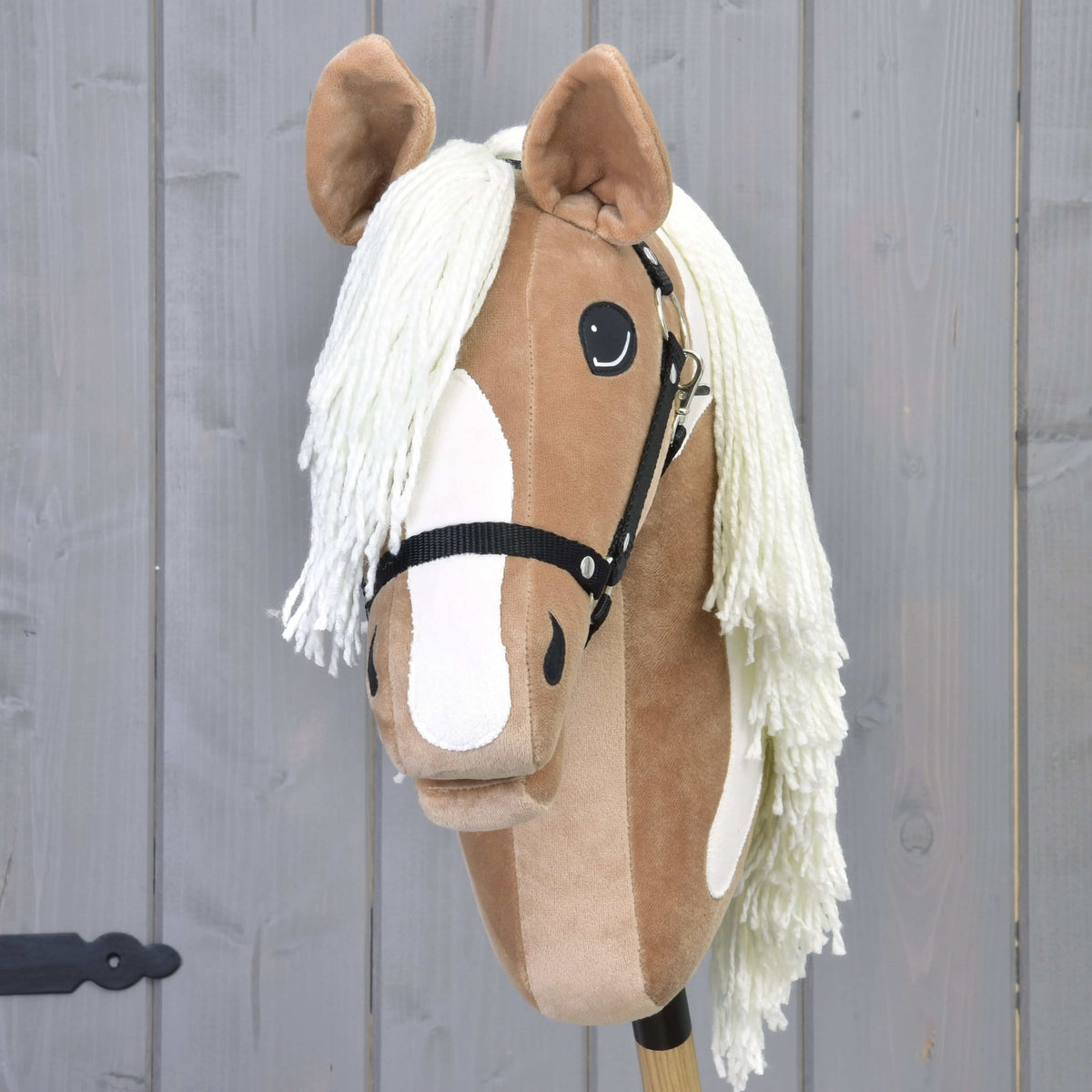 Vooraanzicht van Hobby Horse Fury met brede witte bles, crèmekleurige voorlok van garen en zwarte halster