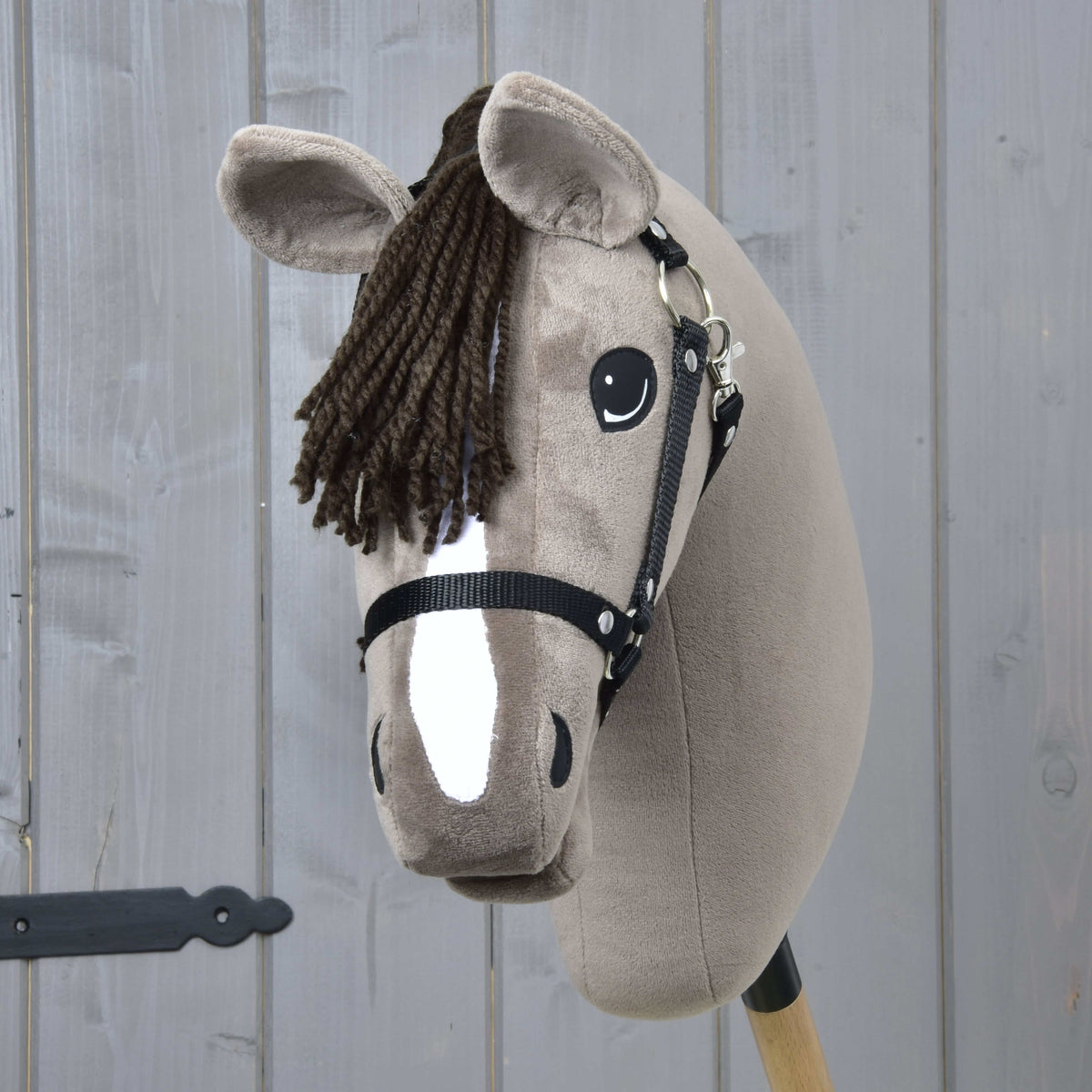 Vue de face du Hobby Horse Guccini avec toupet brun foncé en fil, large liste blanche et licol noir
