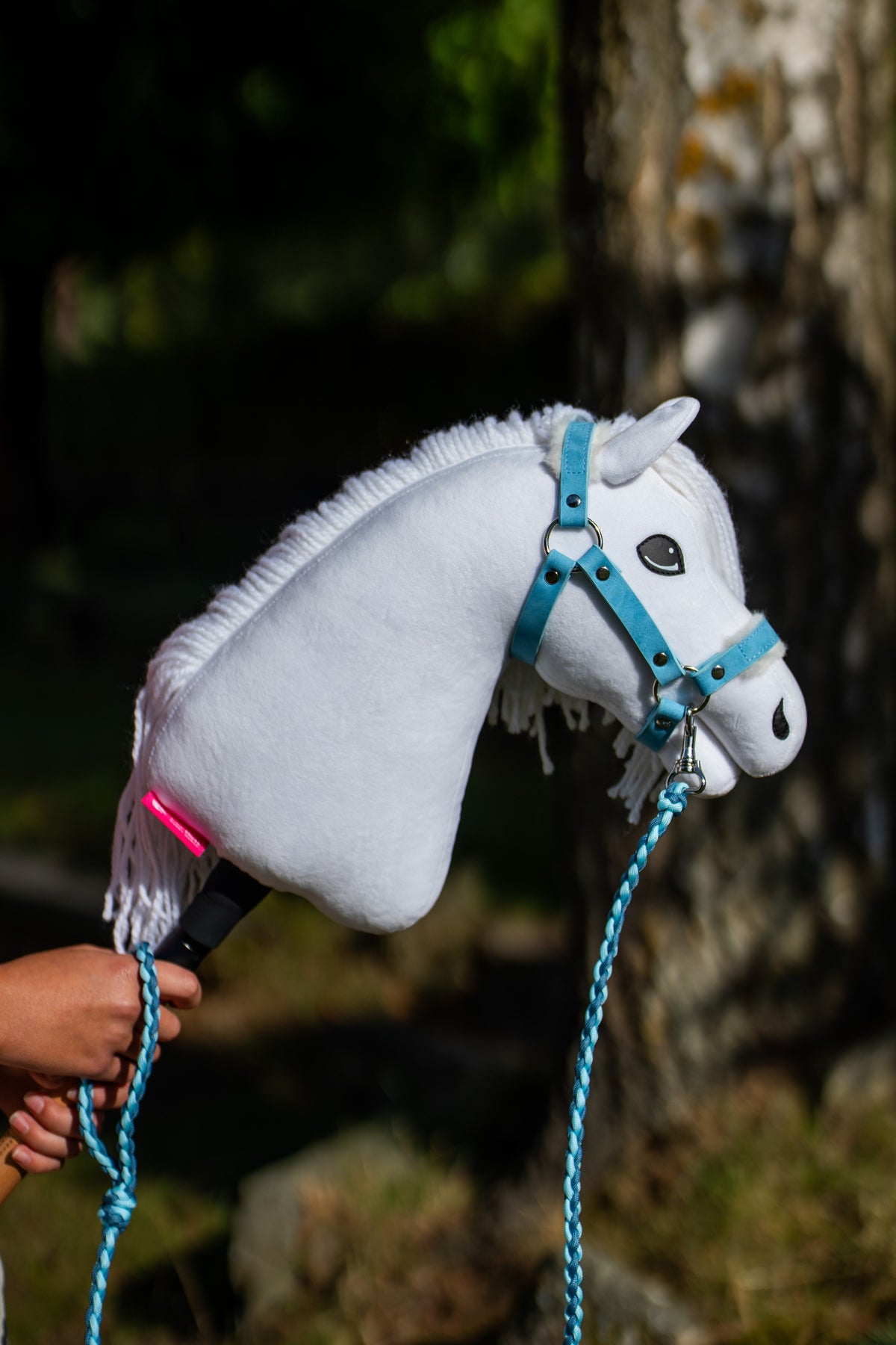 White Hobby Horse Lady up close in the pastel blue halter, a light blue braided lead rope clipped on, birch trunk behind