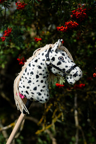 Hobby Horse Lord Valentine dehors, vu de profil, devant un sorbier couvert de baies rouges
