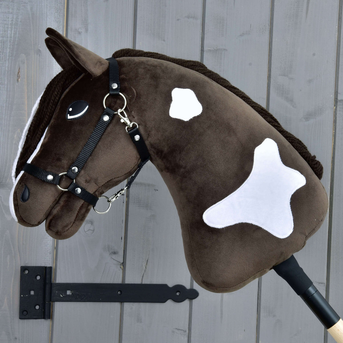 Hobby Horse Monte with Black Halter showing two large white patches on its dark brown neck, mane on the far side