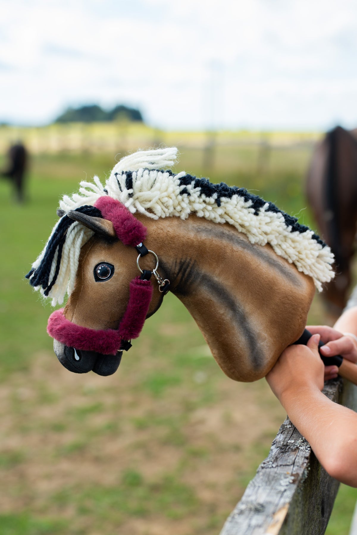 Hobby Horse Ozzy in a maroon fur halter resting on a wooden fence rail, real horses in the paddock behind