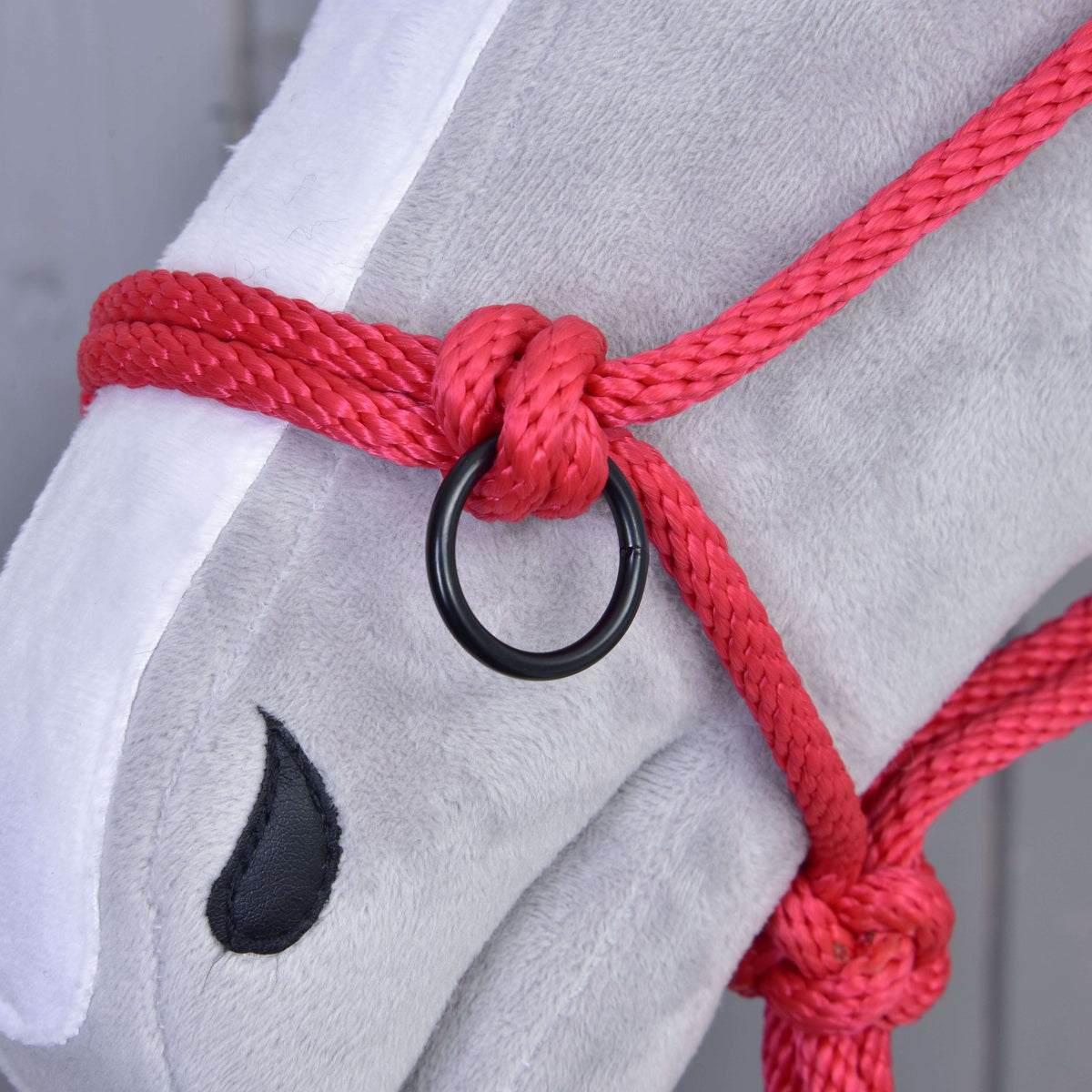 Close-up van een knoop en zwarte ring van het rode touwhalster op de witte bles van een grijze Hobby Horse