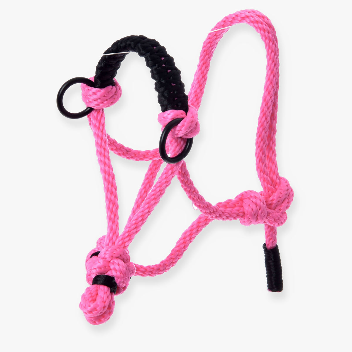 Touwhalster Pink van LarDen voor Hobby Horse van felroze touw met zwart gevlochten neusriem en zwarte ringen