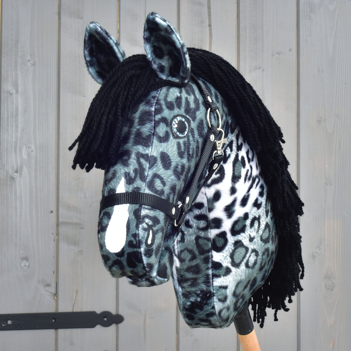 Hobby Horse Picasso with Black Halter from the front, shaggy black forelock, white blaze and spotted grey ears