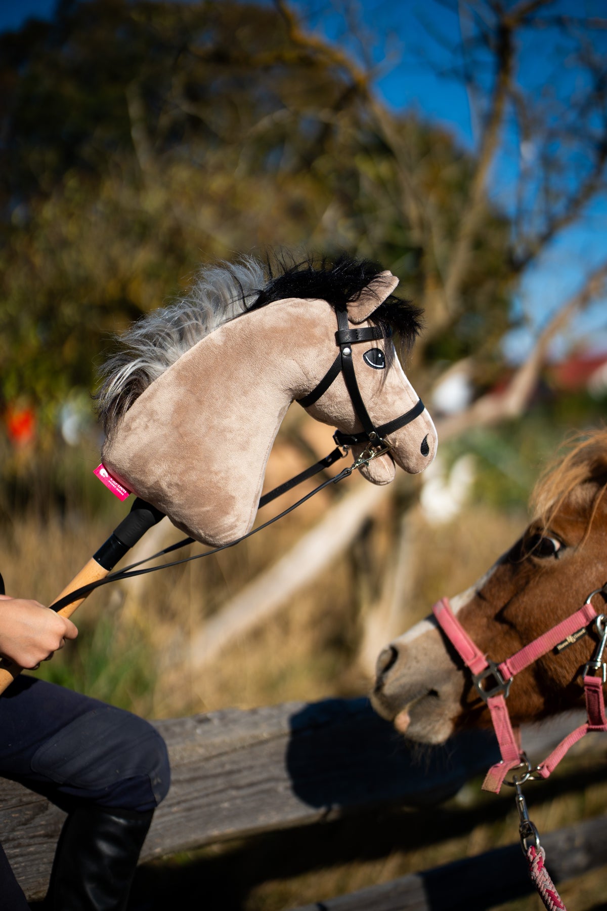 Beige Hobby Horse met zwart-grijze manen in het zwarte hoofdstel van kunstleer met teugels, buiten naast een voskleurige pony