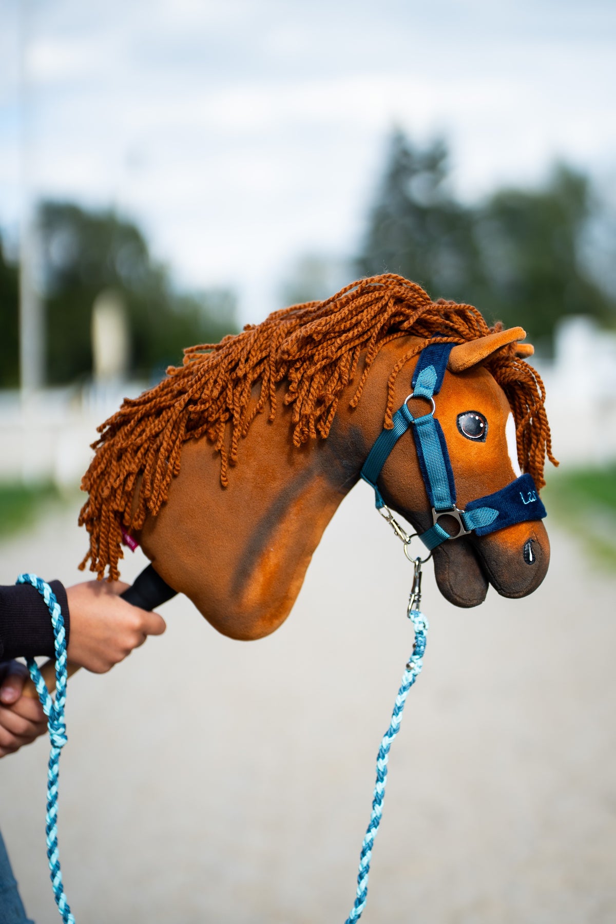 Gros plan sur le Hobby Horse Pippa à crinière rouille bouclée avec licol bleu canard, muserolle bleu marine et longe turquoise