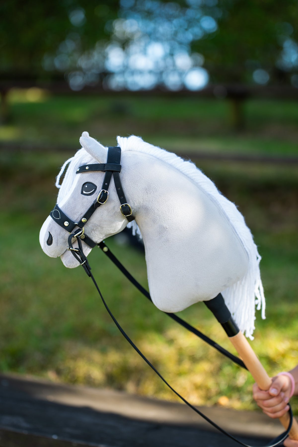 Hobby Horse Popcorn in a black bridle with gold buckles, a decorated noseband and long black reins, green garden behind