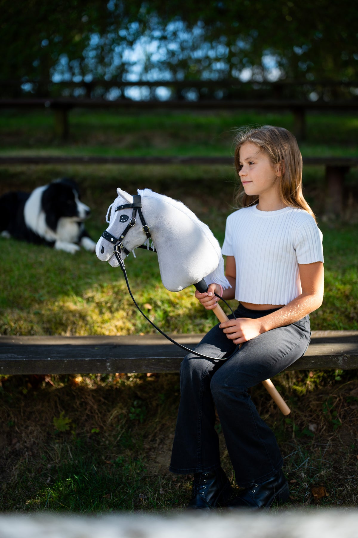 Girl in a white top sitting on a bench with the light grey Hobby Horse in a black bridle, a border collie behind