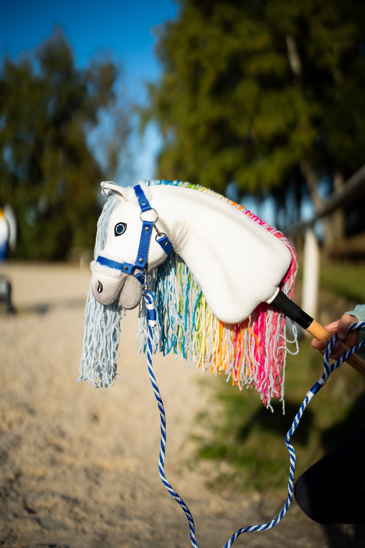 Witte Hobby Horse met lange regenboogmanen van garen en blauwe halster aan het blauw-wit gestreepte halstertouw bij de rijbak