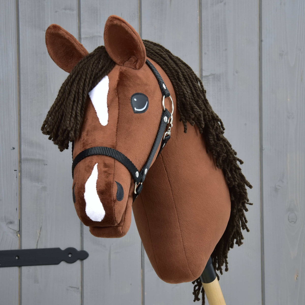 Front view of Hobby Horse Rocky with a white star, a white stripe on the nose and a dark brown yarn forelock