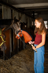 Girl in a red top in a stable aisle holds a chestnut Hobby Horse in the black bridle with fur, real horses in boxes behind