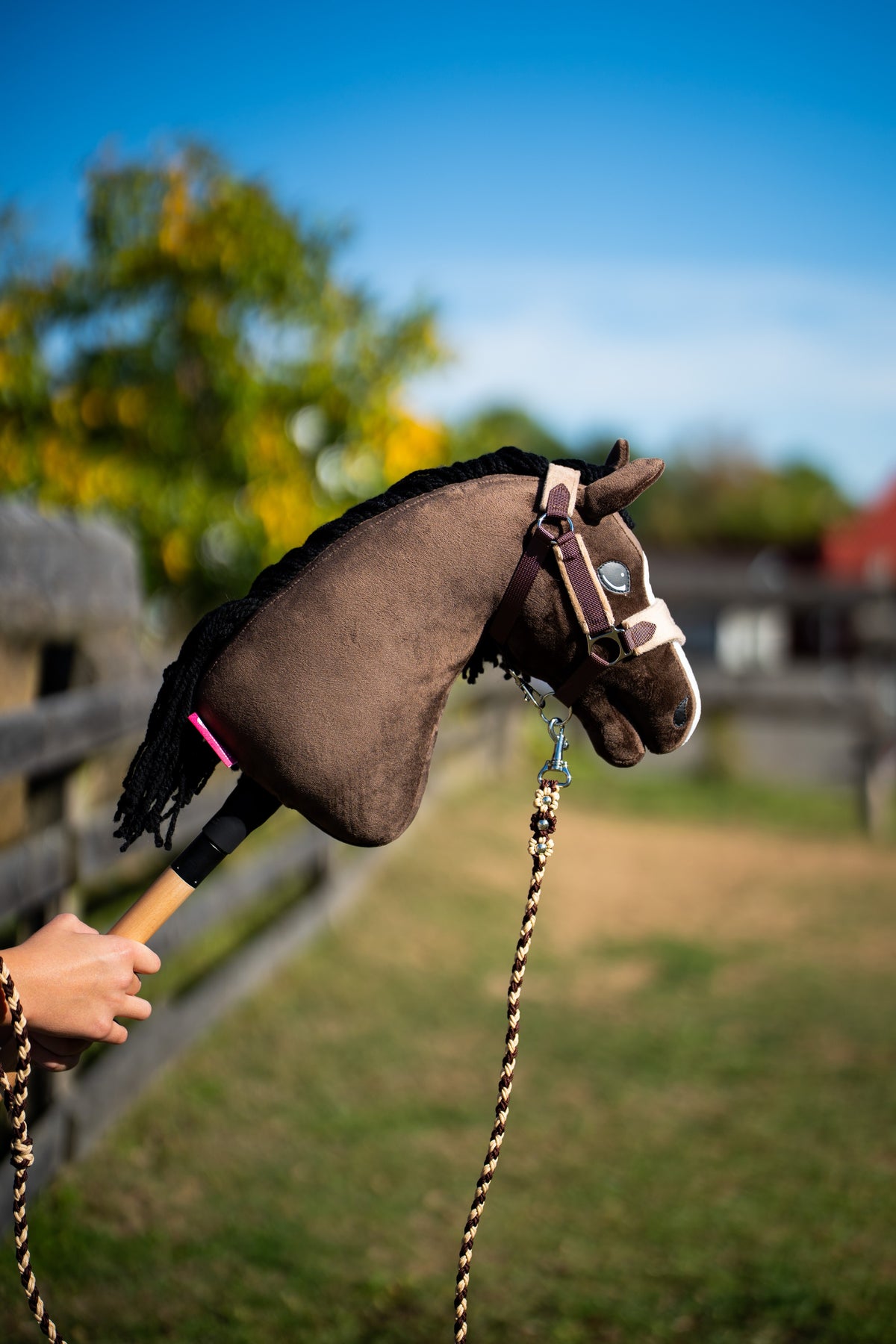 Hobby Horse Sisi in een zonnige paddock met bruine halster met lichte neusriem en gevlochten halstertouw