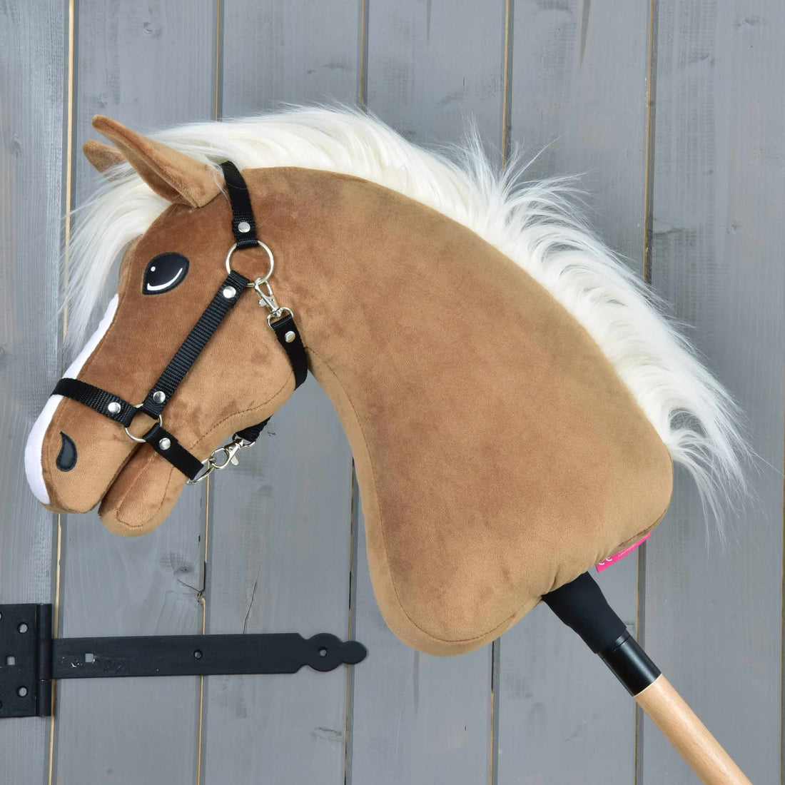 Hobby Horse Star with black halter