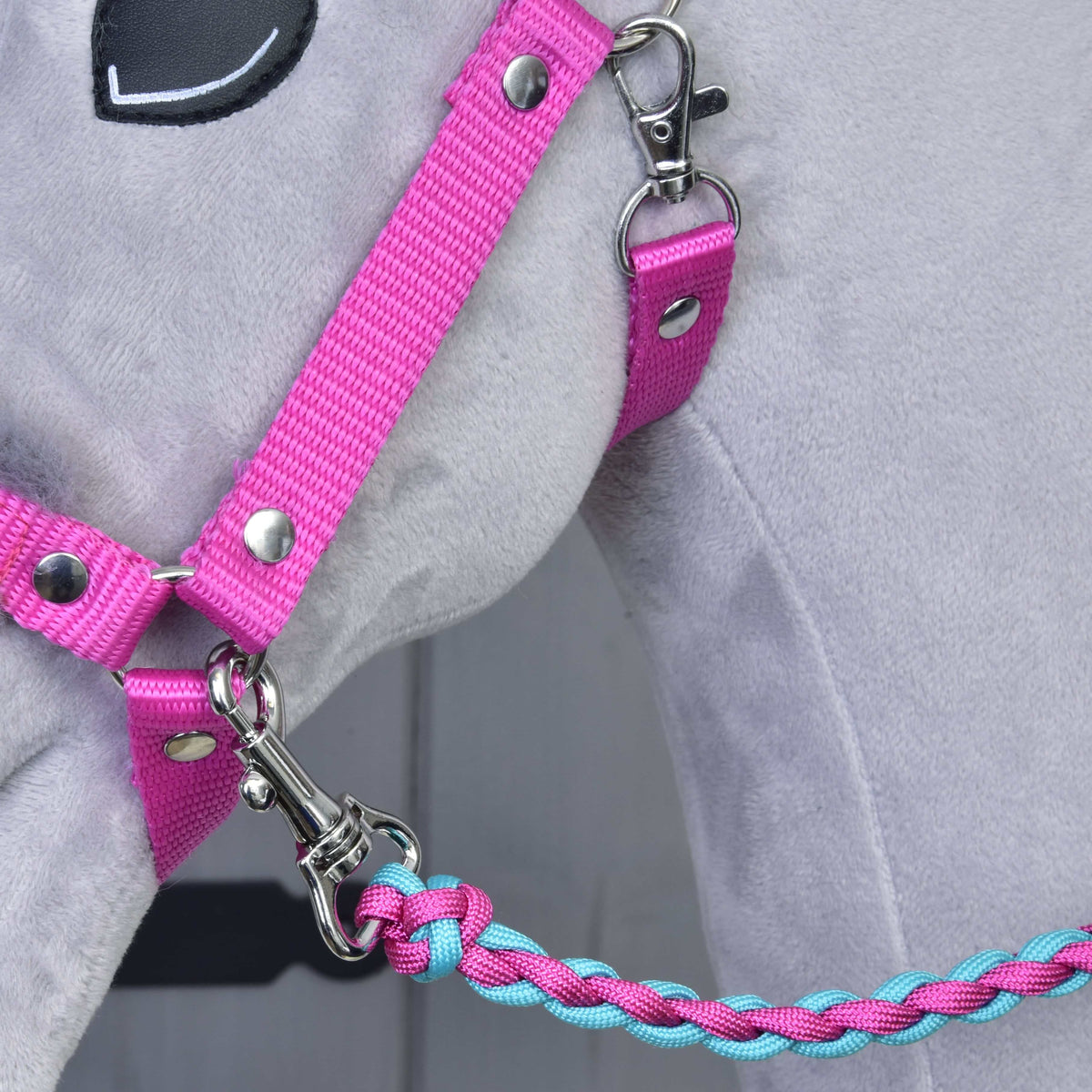Detail van het roze halster van band met zilveren klinknagels en karabijnhaak, met een gevlochten roze-turquoise touw eraan
