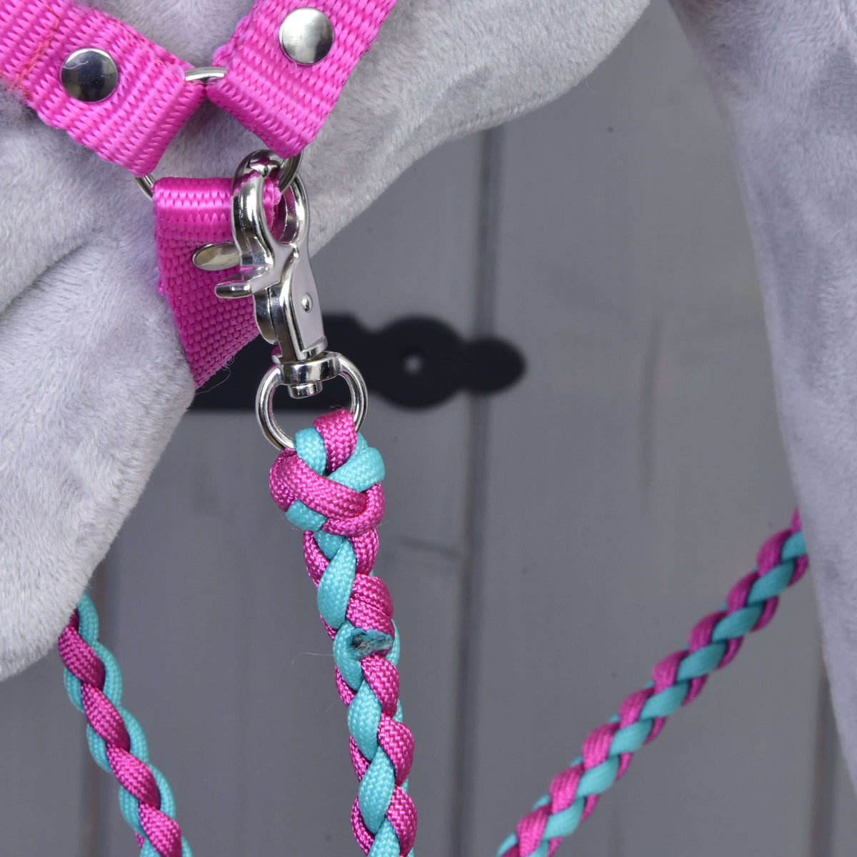 Close-up van de zilveren karabijnhaak die een gevlochten roze-turquoise touw aan het roze halster vastmaakt