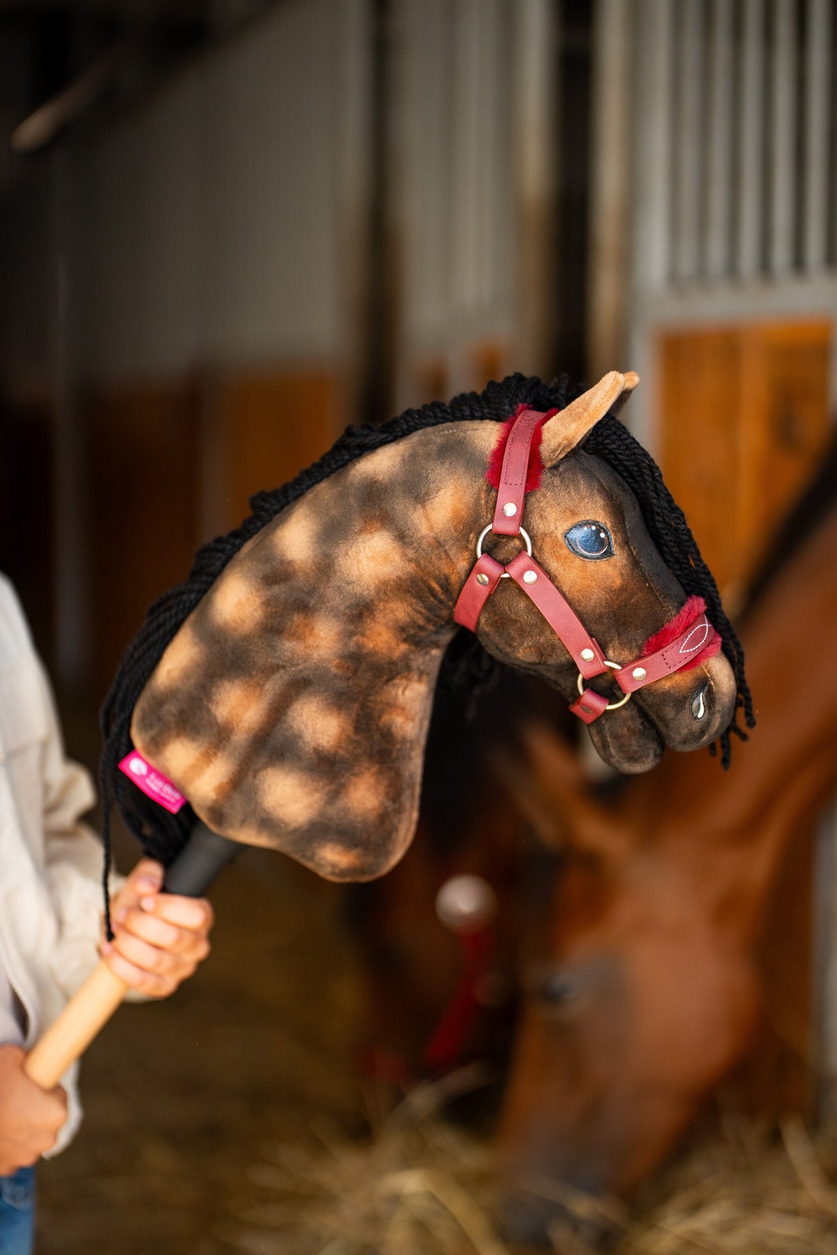 Gros plan sur le Hobby Horse Stormy brun pommelé aux yeux bleus et à crinière noire bouclée avec le licol bordeaux à fourrure