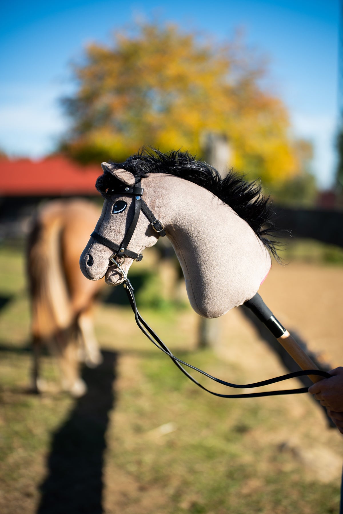 Close-up van Hobby Horse Thor in zwart hoofdstel met teugels in de wei, pony en herfstboom onscherp op de achtergrond