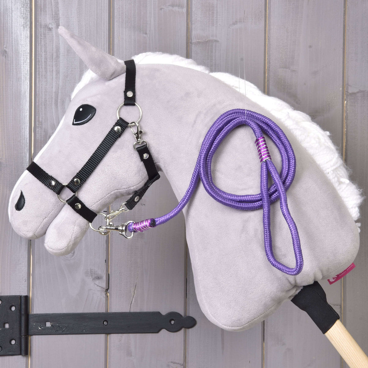 Hobby Horse gris clair avec licol noir et longe rayée Viola violette posée sur l’encolure