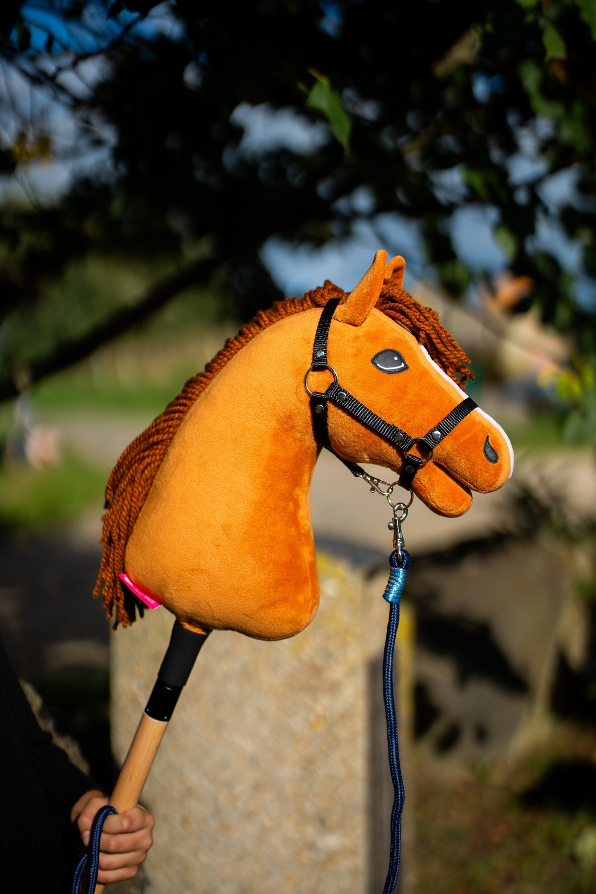 Hobby Horse Wendy avec son licol noir et une longe bleu marine accrochée, tenu par un enfant près d’un bloc de pierre au soleil