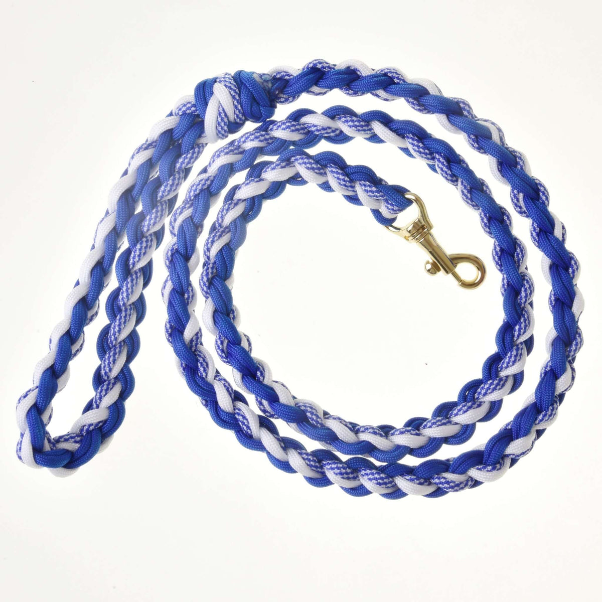 Longe tressée bleu et blanc pour Hobby Horse enroulée à plat sur fond blanc, mousqueton couleur laiton au centre