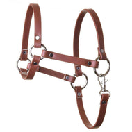 Halster - bruin kunstleer voor Hobby Horse van LarDen met zilverkleurige ringen, klinknagels en musketonhaak