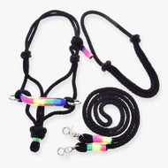 Hobby Horse Rope set Rainbow by LarDen: black rope halter with neon rainbow noseband, black neck ring and reins on white