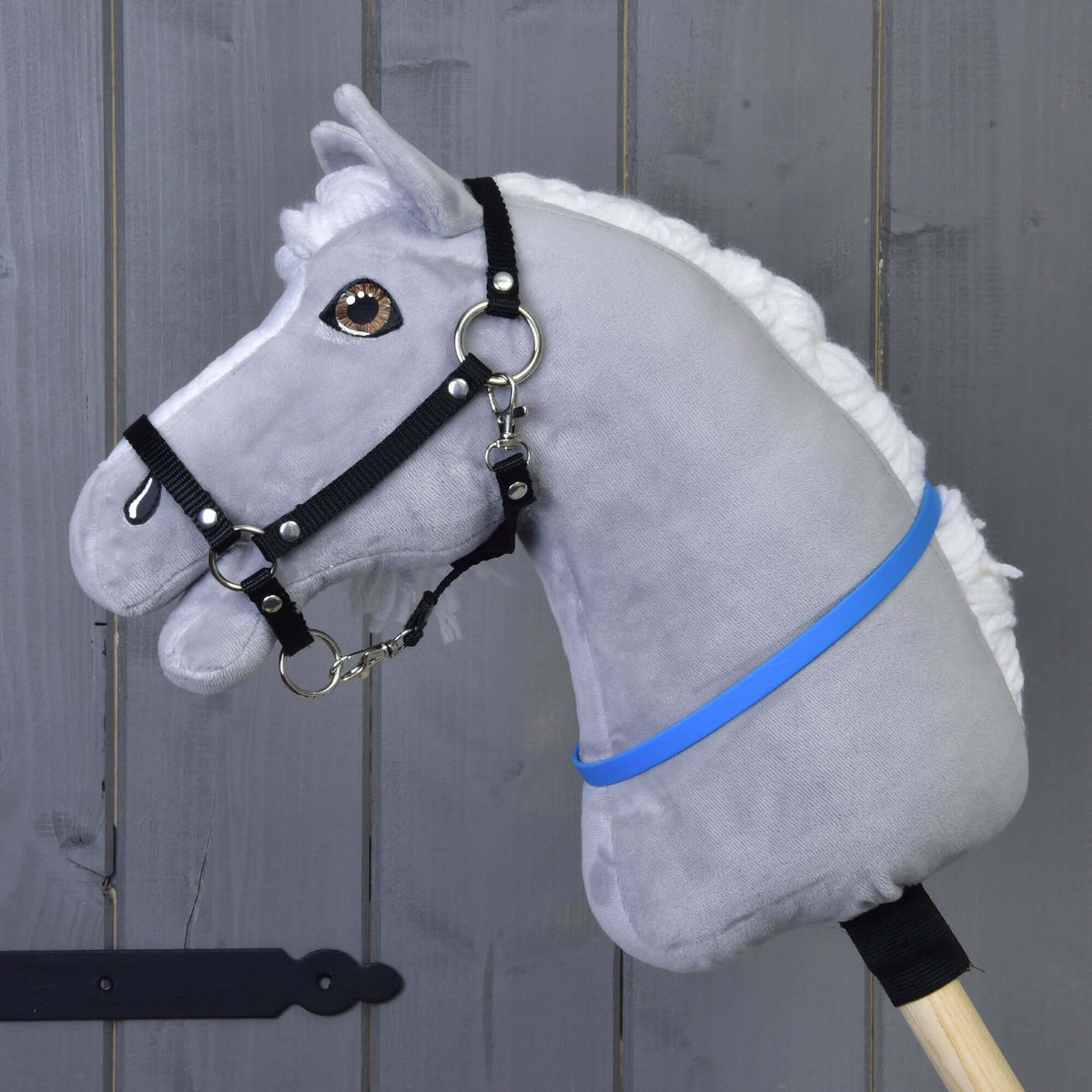 A grey plush Hobby Horse with a white mane and black halter wears the bright blue cordeo around its neck