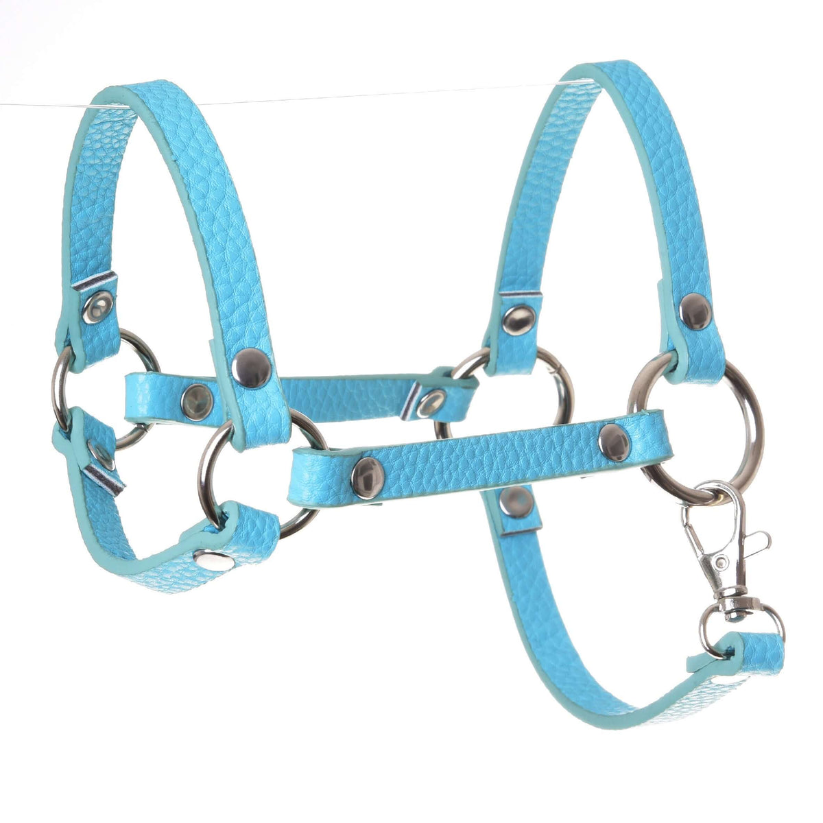 LarDen halster voor Hobby Horse van turquoise kunstleer met zilveren ringen, klinknagels en musketon op een witte achtergrond