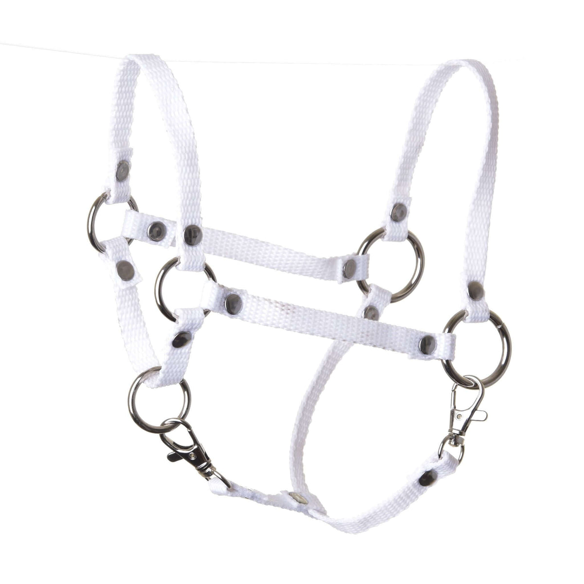 Licol blanc de LarDen pour Hobby Horse en sangle blanche, avec anneaux argentés, rivets et deux mousquetons
