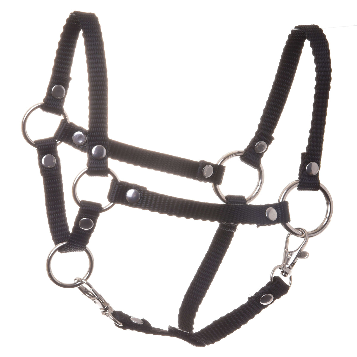 Halster zwart voor Hobby Horse van LarDen van zwarte band met zilverkleurige ringen, klinknagels en twee musketonhaken